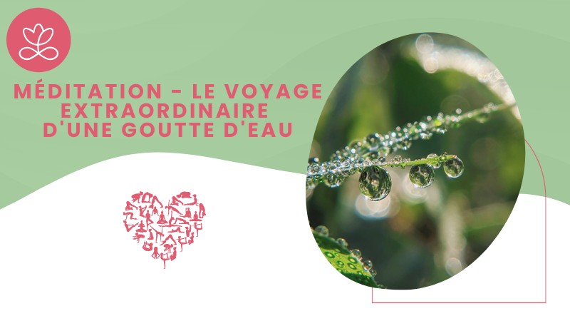 17. Méditation - Le voyage extraordinaire d'une goutte d'eau avec France Auger